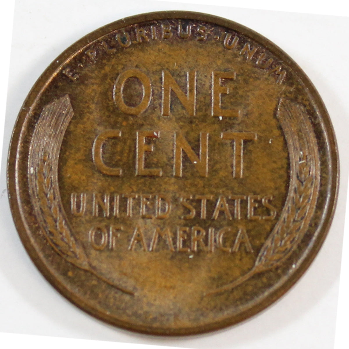 1909 VDB USA Lincoln Cent Brilliant Uncirculated (MS63) Lustrous Brown
