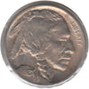 1913 Var. 1 Raised Ground USA Nickel Brilliant Uncirculated (MS63)
