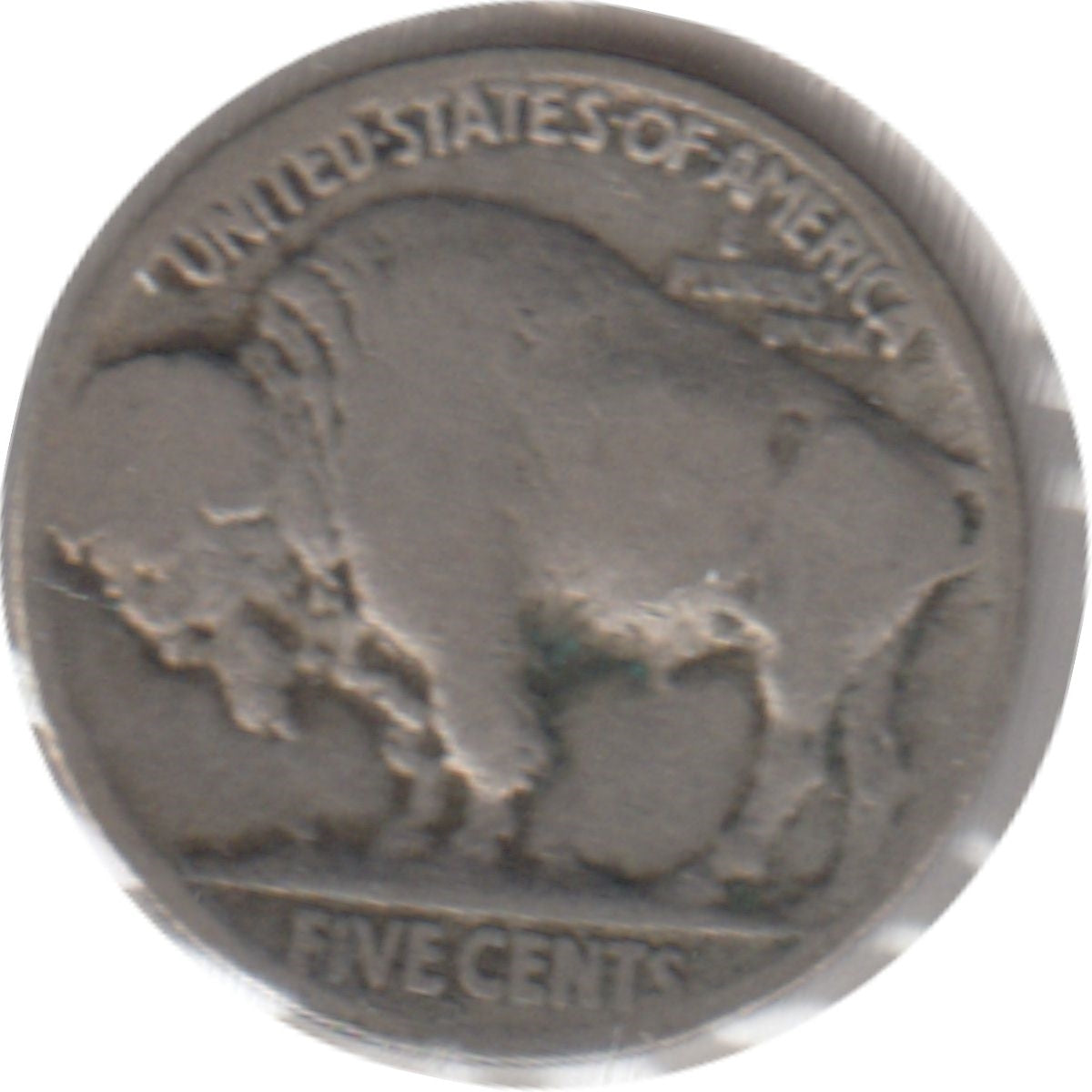 1919 D USA Nickel Good (G4)