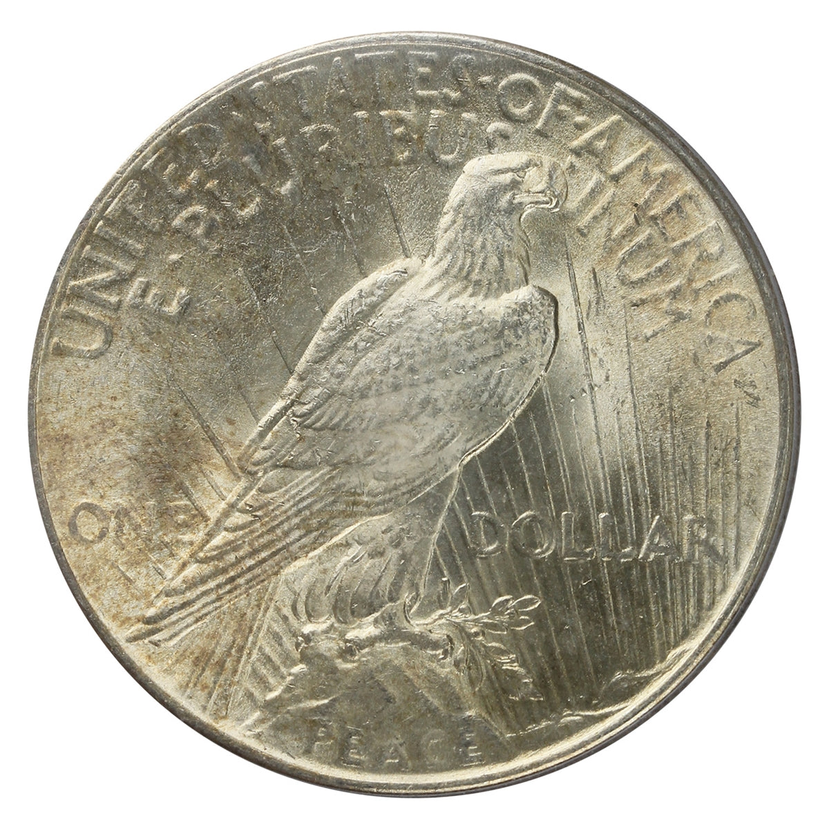 1924 USA Dollar PCGS Certified MS63