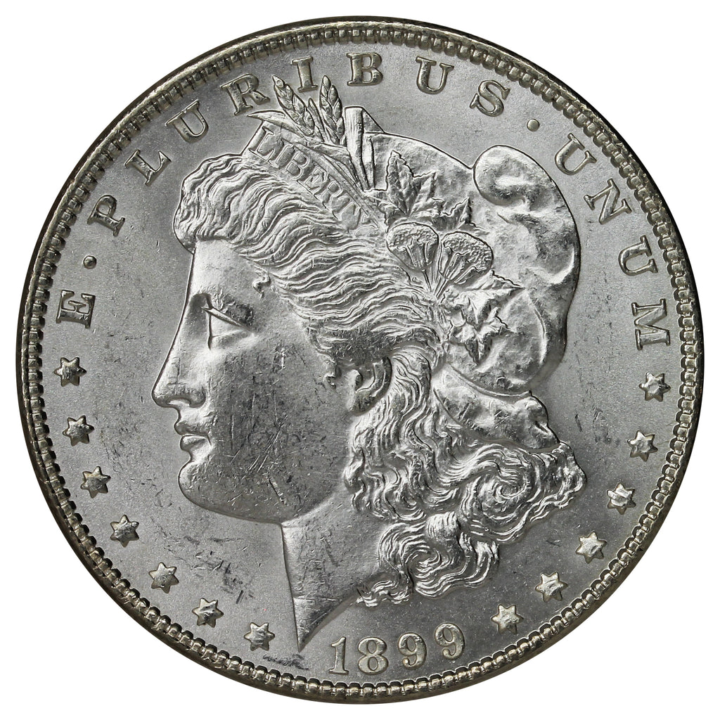 1899 USA Dollar Choice Brilliant Uncirculated (MS64) $1