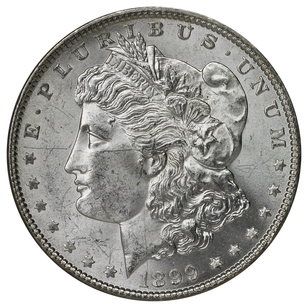 1899 USA Dollar Brilliant Uncirculated (MS63) $