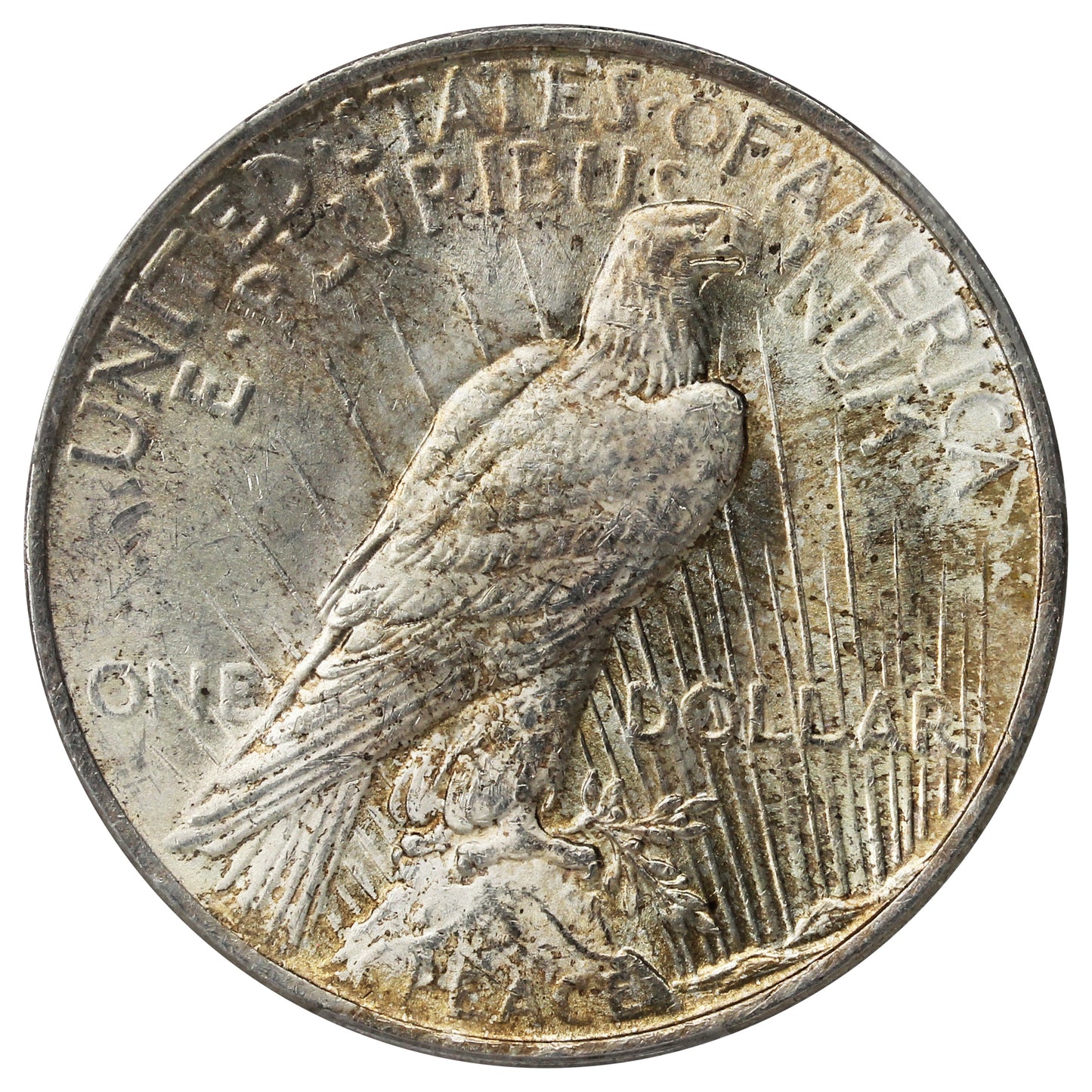 1923 USA Dollar PCGS Certified MS63