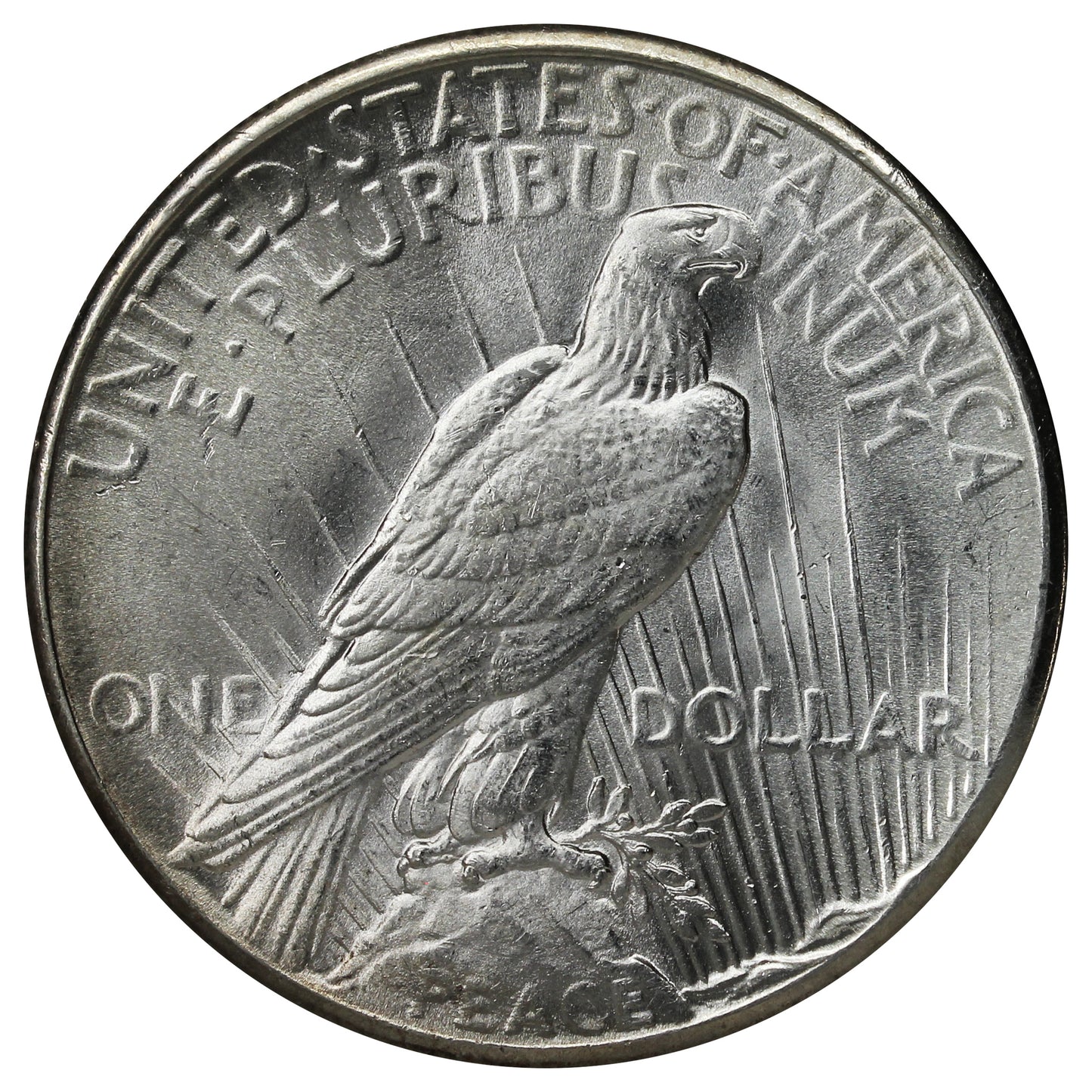 1926 USA Dollar Choice Brilliant Uncirculated (MS64) $
