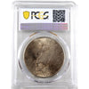 1924 USA Dollar PCGS Certified MS63