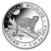 2021 100 Shillings African Wildlife: Leopard 1oz Silver (No Tax) Edge/Rim Toning