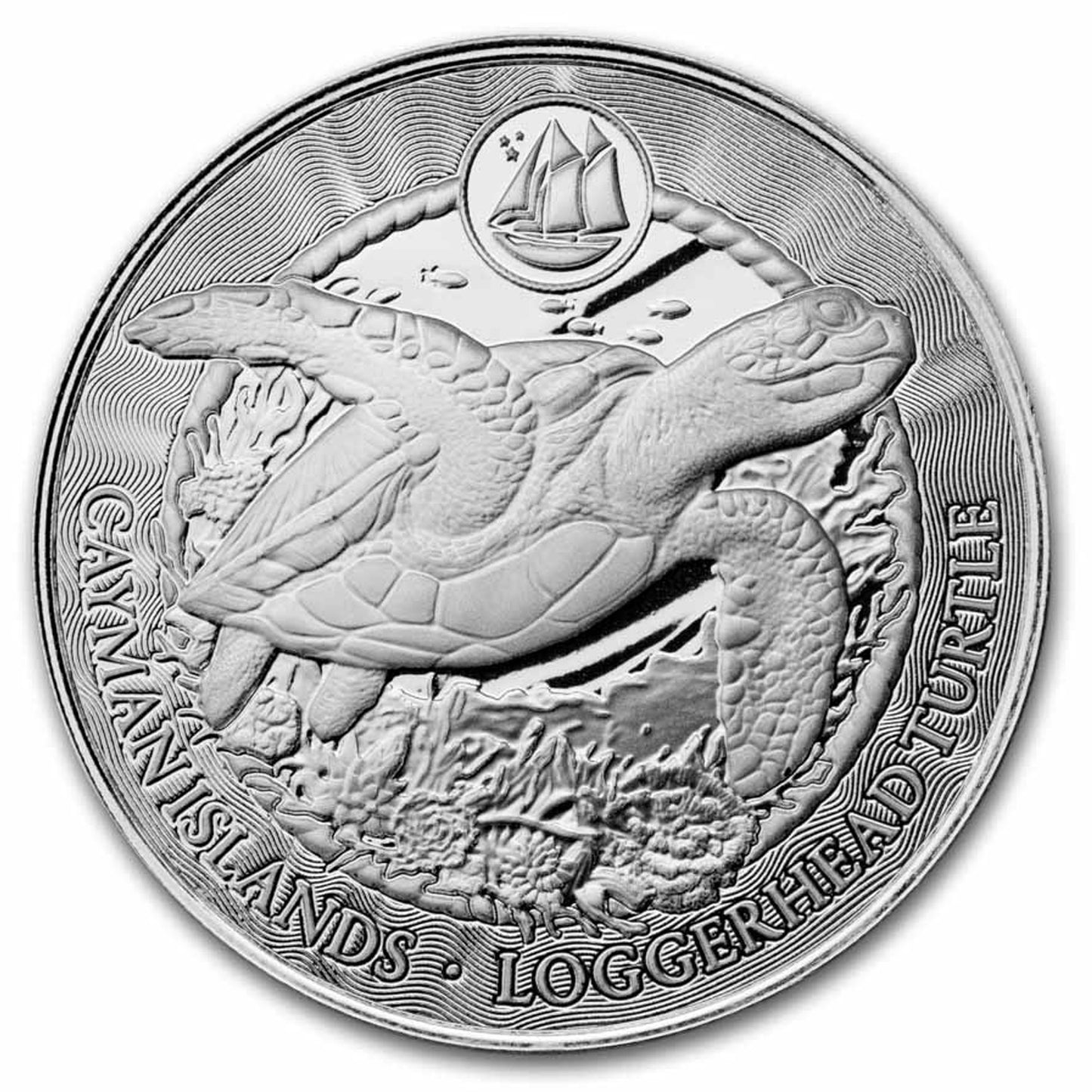 2026 Cayman Islands $1 Loggerhead Turtle 1oz .999 Silver (No Tax)