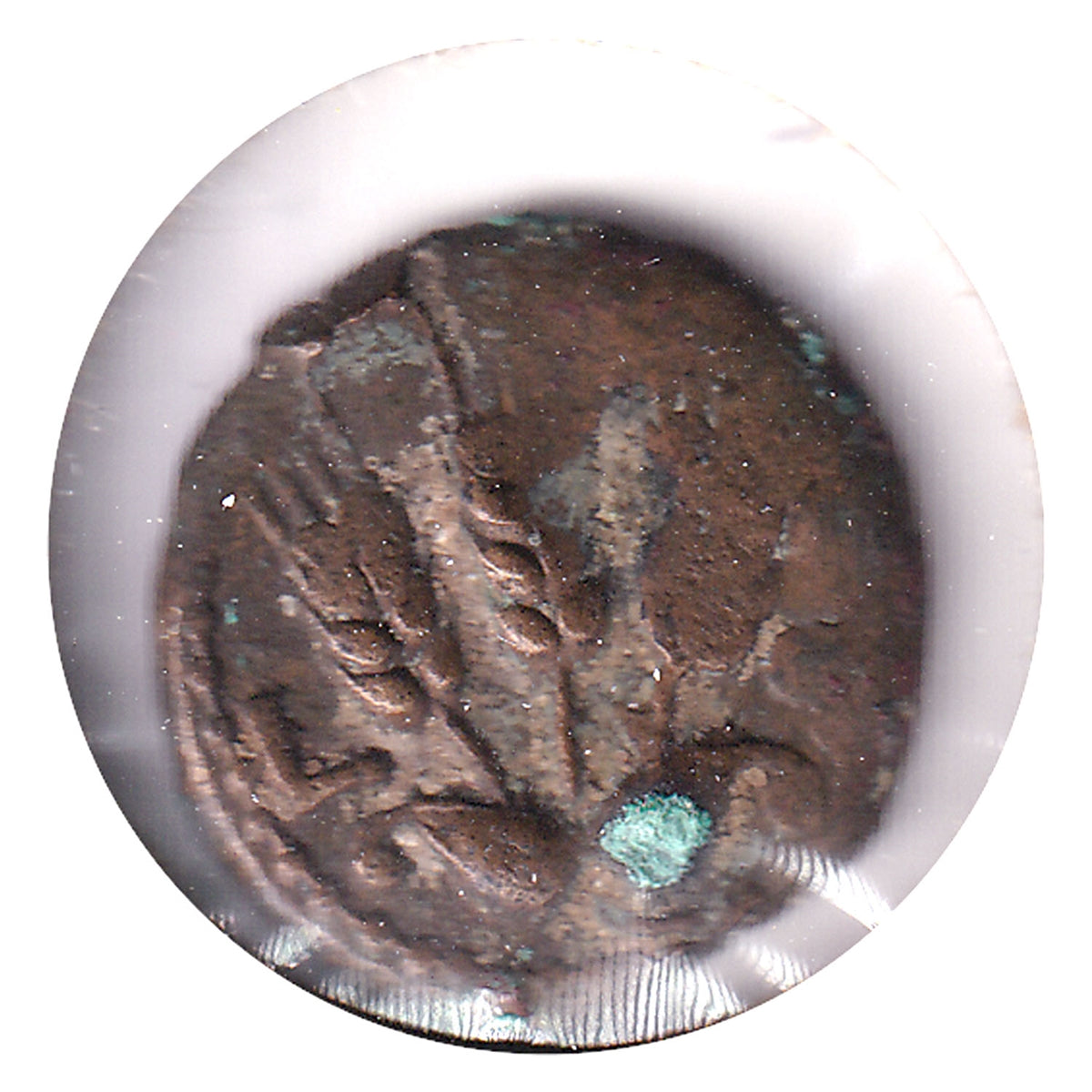 Ancient Judaea Roman Procurators 37-44AD Agrippa 1 AE Prutah VF-EF (VF30) $