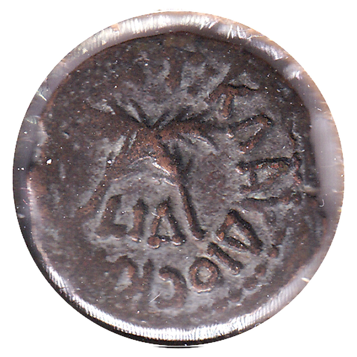 Ancient Judaea Roman Procurators 54AD AE Prutah Extra Fine (EF40) $