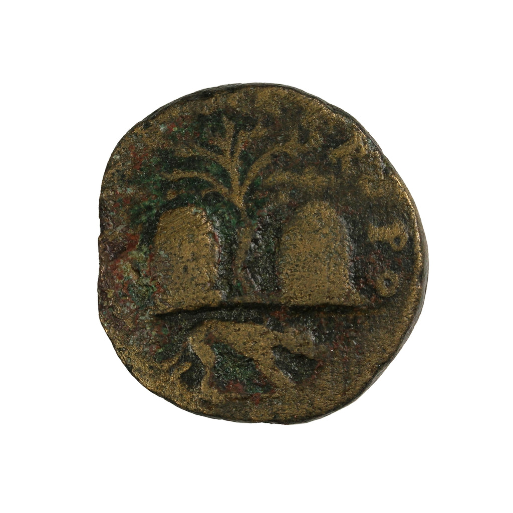 Ancient Phoencia Tyre 268AD Salonina, Roman Province Fine (F-12) $ RARE
