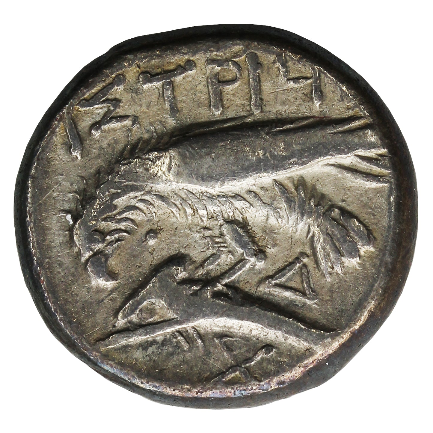 Ancient Greece 400-350BC Moesia Istros Silver Stater Extra Fine (EF40)