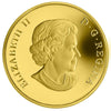 2010 Canada $300 British Columbia Coat of Arms 14K Gold Coin