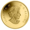 2013 $5 O Canada - The Polar Bear Pure Gold Coin (No Tax)