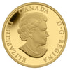 2013 Canada $75 Baseball Diamond 1/4oz. Fine Gold Coin (TAX Exempt)
