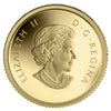 2013 Canada 50-cent Bald Eagle 1/25oz. Gold Coin (No Tax)