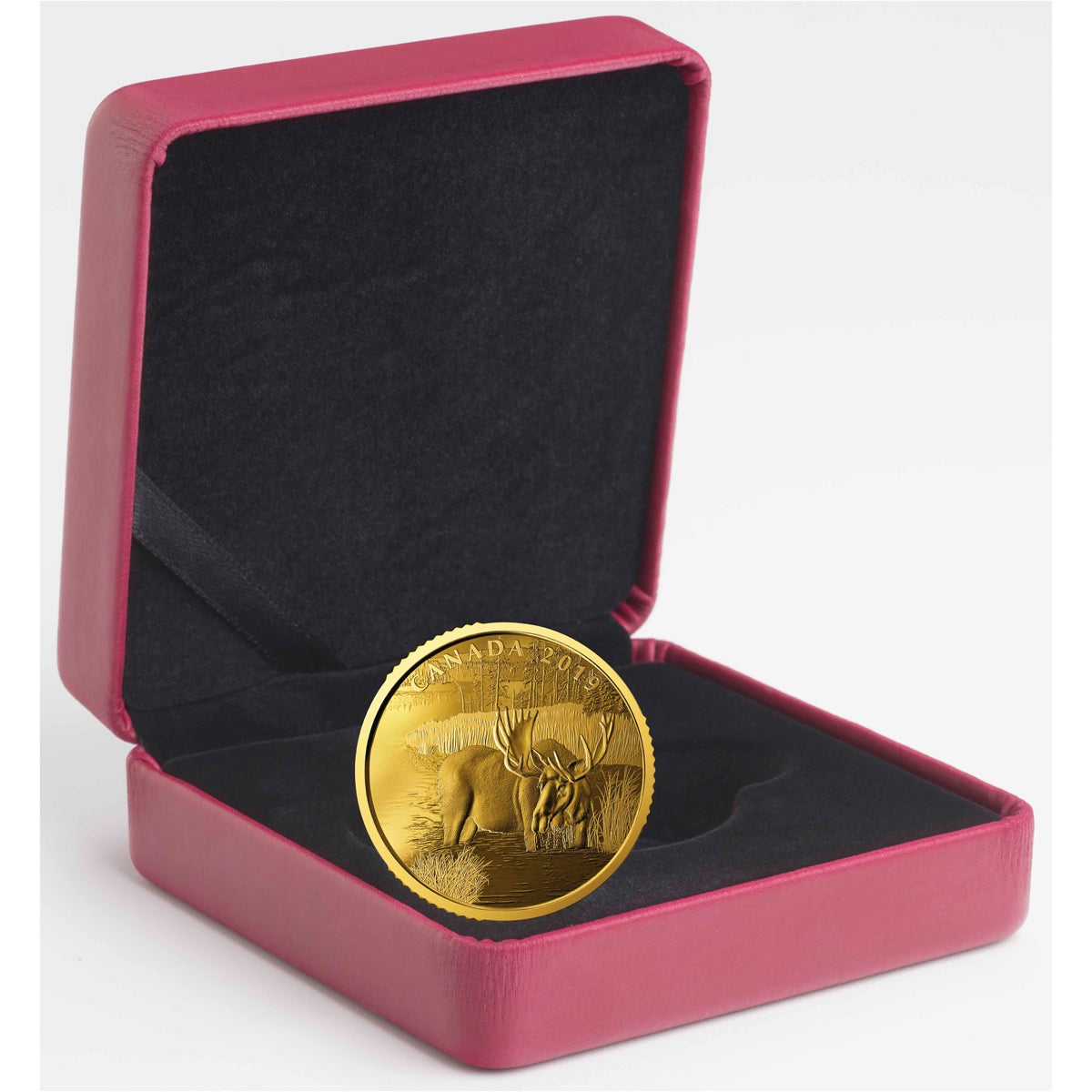2019 Canada $200 Canadian Moose Pure Gold (No Tax)