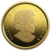 2019 Canada $20 20th Anniversary of Nunavut Pure Gold Coin (No Tax)