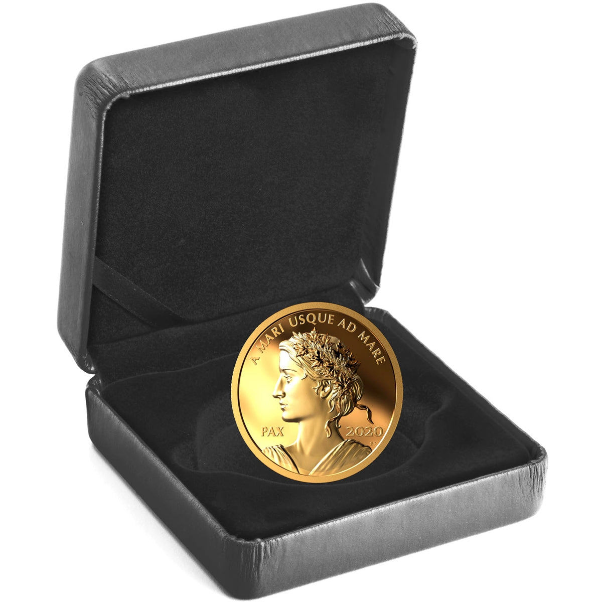 2020 Canada $200 Peace Dollar Pure Gold Coin (No Tax)