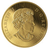 2019 Canada $2,500 Into the Light - Lion Pure Gold Coin (No Tax)