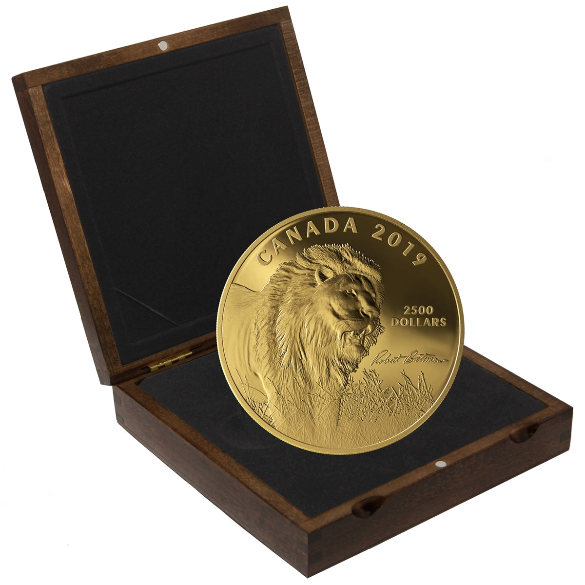 2019 Canada $2,500 Into the Light - Lion Pure Gold Coin (No Tax)