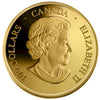 2006 $300 14K Canadian Achievements - Canadarm & Col. Hadfield Gold