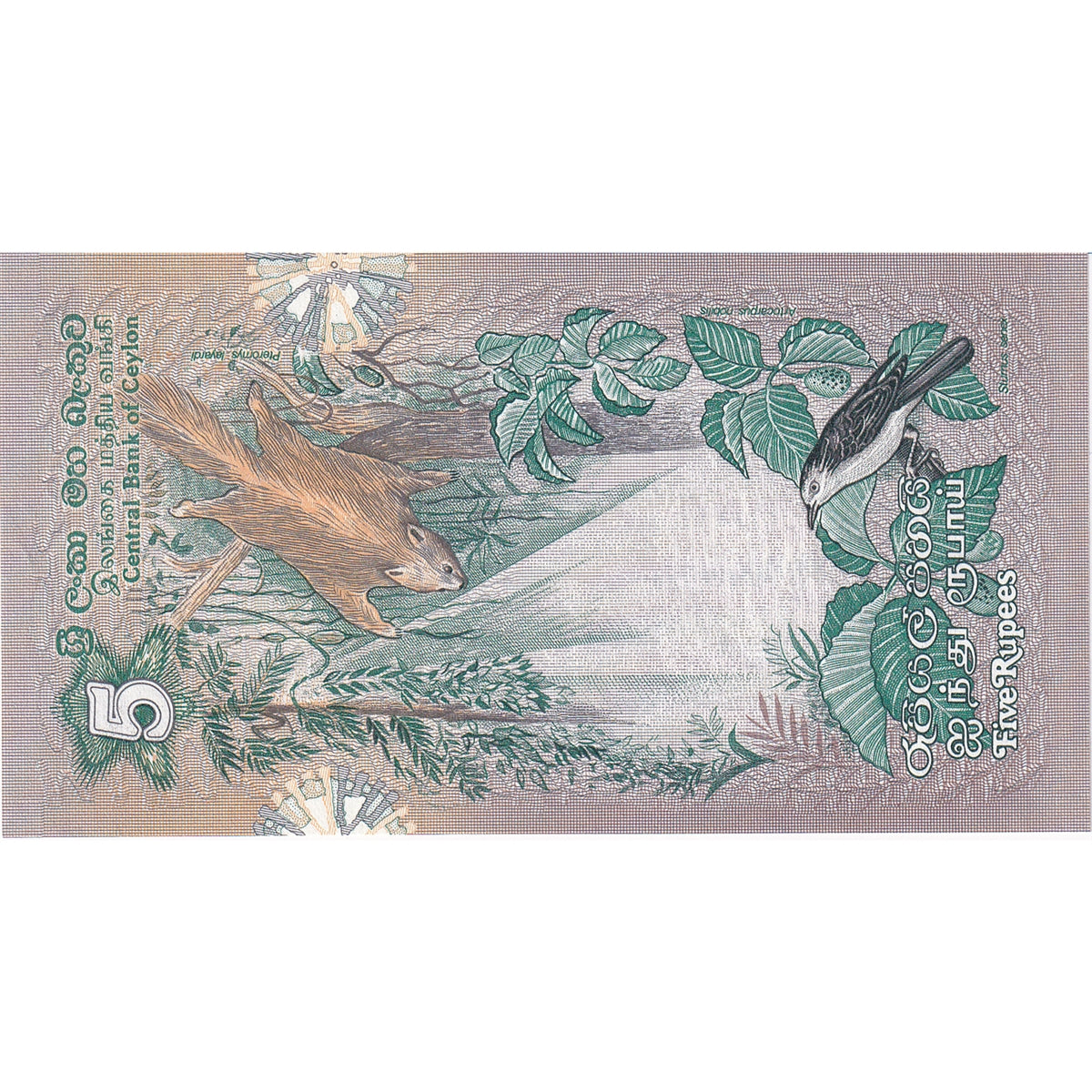 Sri Lanka Note 1979 5 Rupees, UNC