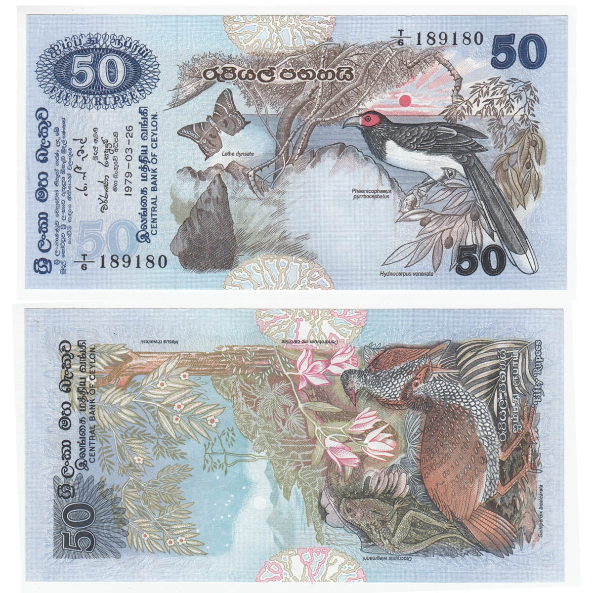 Sri Lanka Note 1979 50 Rupees, UNC