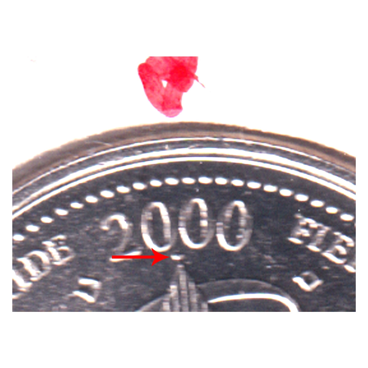 ERROR 2000 Canada Pride 25-cents with Raised Dot below "2000" Date
