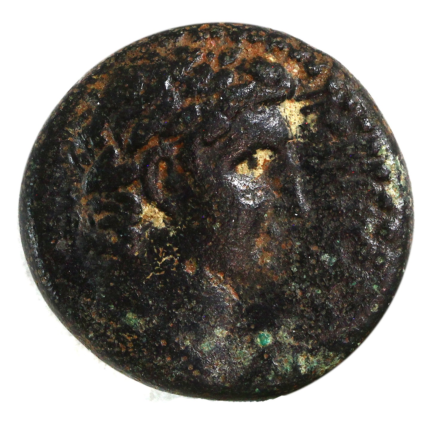 Ancient Roman Syria 41-54AD Antioch Mint Claudius AE 25 Very Fine (VF-20) $