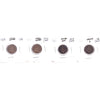 Lot of 4x 1858-1864 USA Cent, G to VG, 4Pcs. (Impaired)