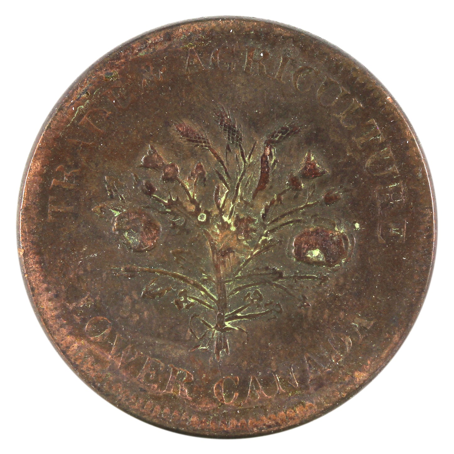 LC-3A3 1836 Lower Canada Bank of Montreal Un Sou Token Very Fine (VF20) Cleaned