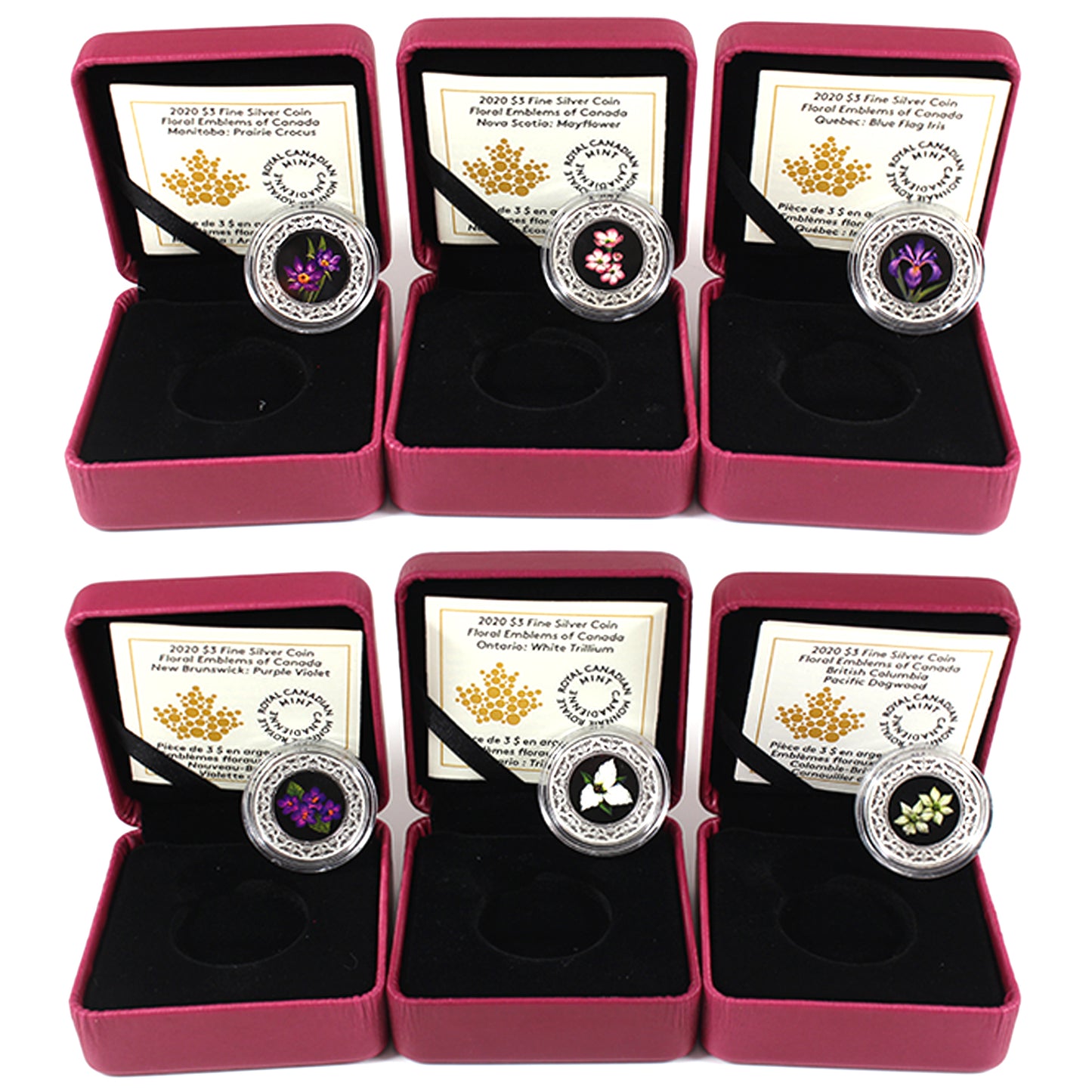 Lot of 6x 2020 Floral Emblems of Canada 1/4 oz Fine Silver Coins (No Tax) missing sleeves