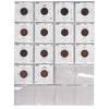 Group Lot of 14x 1859-1906 USA Cents, 14pcs