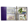 Set of Excelsior Collectors Guild Coins, Stamps, and Banknotes of All Nations in Binder