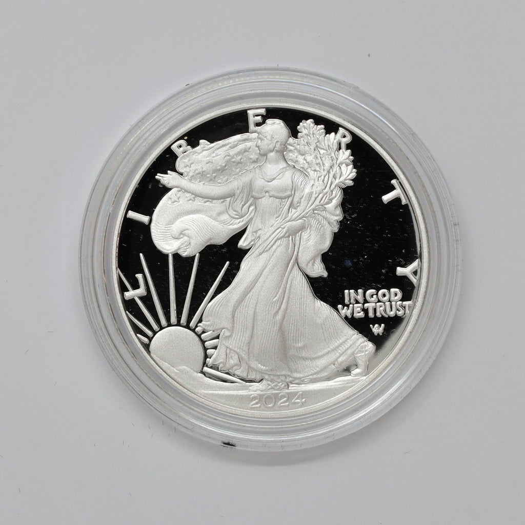 2024 W USA $1 American Eagle Proof 1 oz. .999 Silver with COA in Box (No Tax)