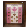 100 Years of Canadian History in Pennies Framed 14-Coin Set (light wear)