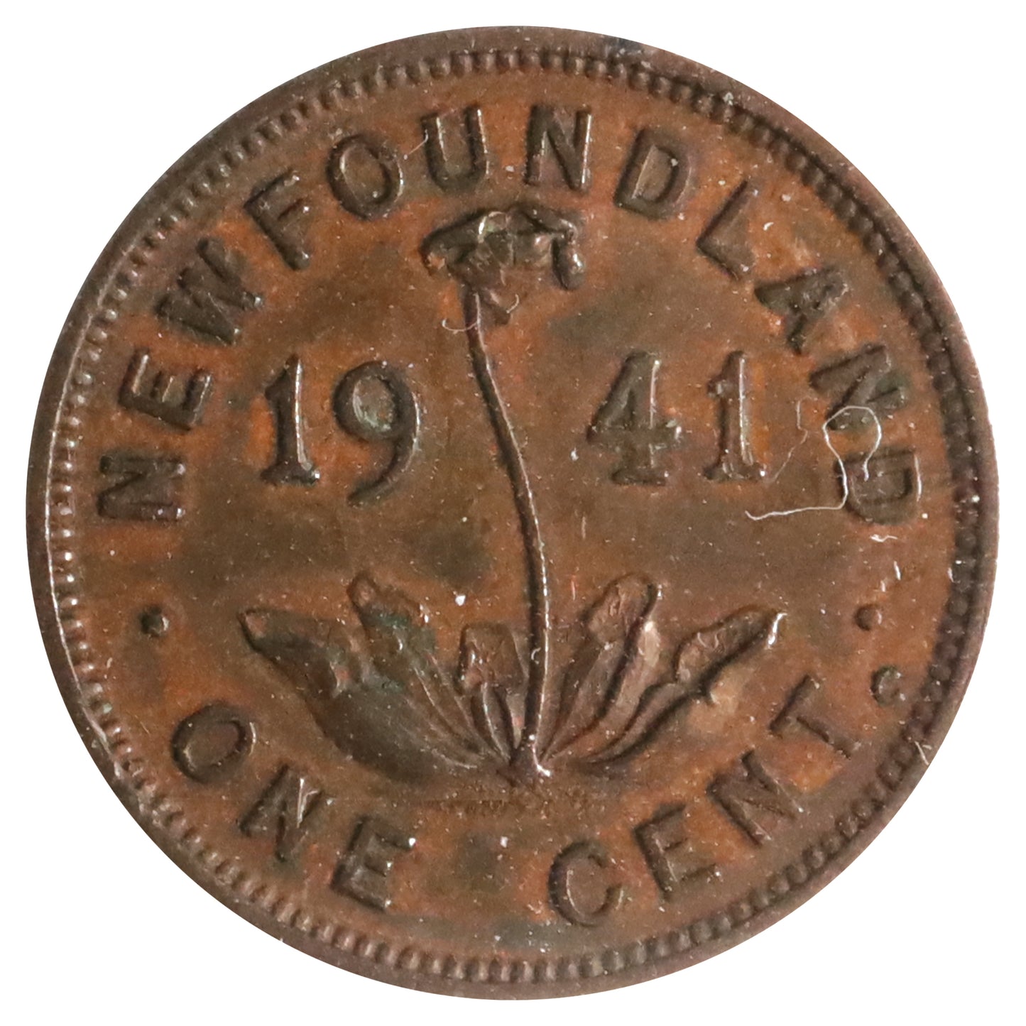 1941C Double 41 Newfoundland 1-cent ICCS Certified EF40