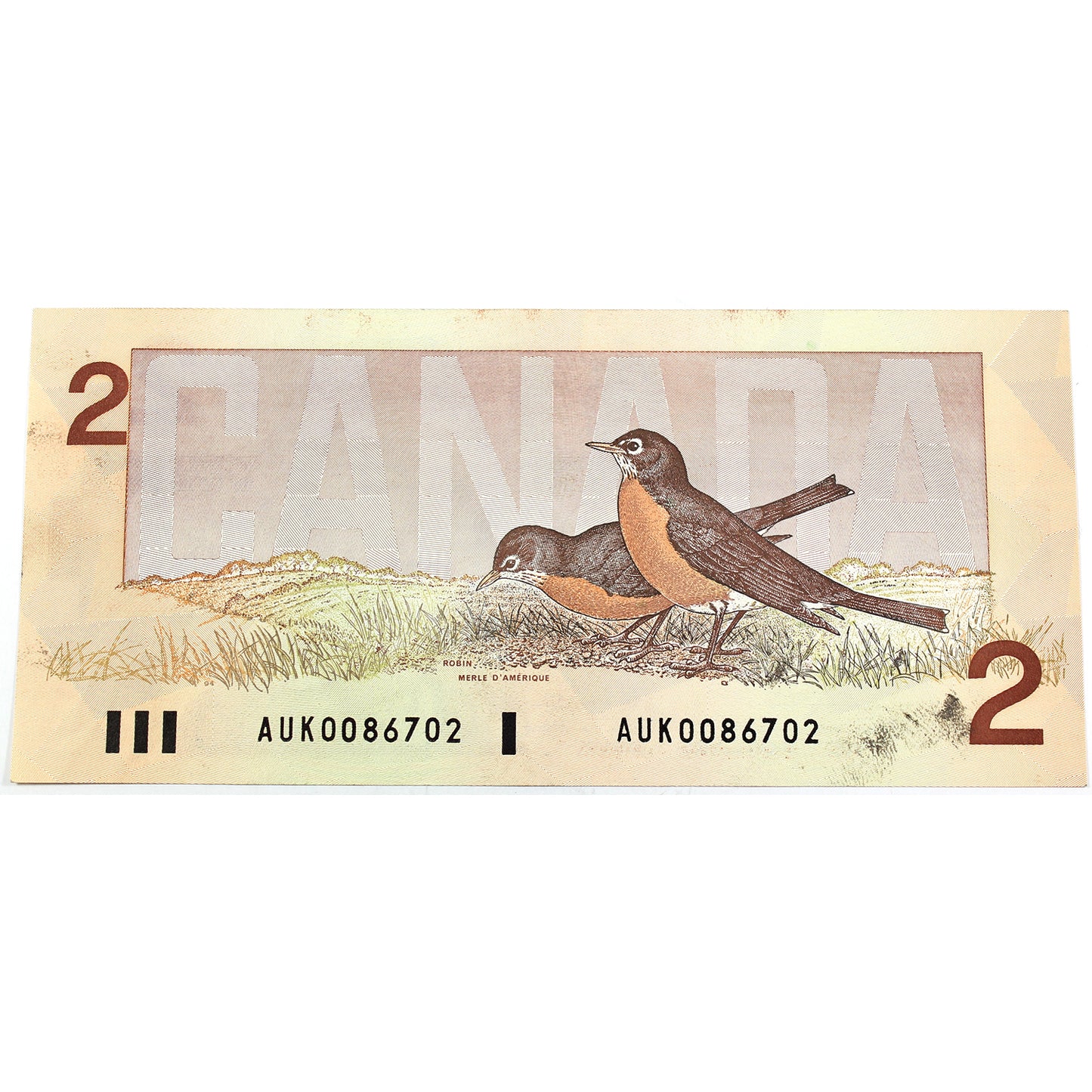 BC-55a 1986 Canada $2 Crow-Bouey, AUK, EF-AU (EF45) Stain