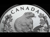 2025 Canada 50th Anniversary of the Beaver as an Official Symbol Special Edition Proof Silver Dollar (No Tax)