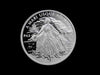 2025 Canada $50 Peace Dollar 5oz. Fine Silver (No Tax)
