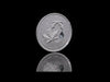 2025 Canada $300 Maple Leaf Forever Pure Platinum Coin (No Tax)