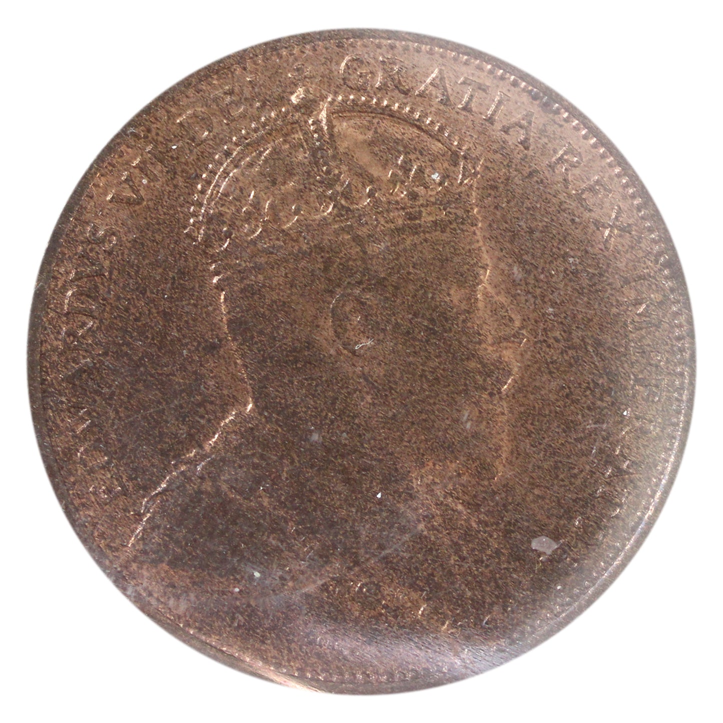 1907 Newfoundland 1-cent ICCS Certified MS-63 Red and Brown