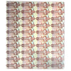1986 Canada $2 EBA Prefix Uncut Sheet of 40 Notes - 4x10 Format (Ruffled ends)
