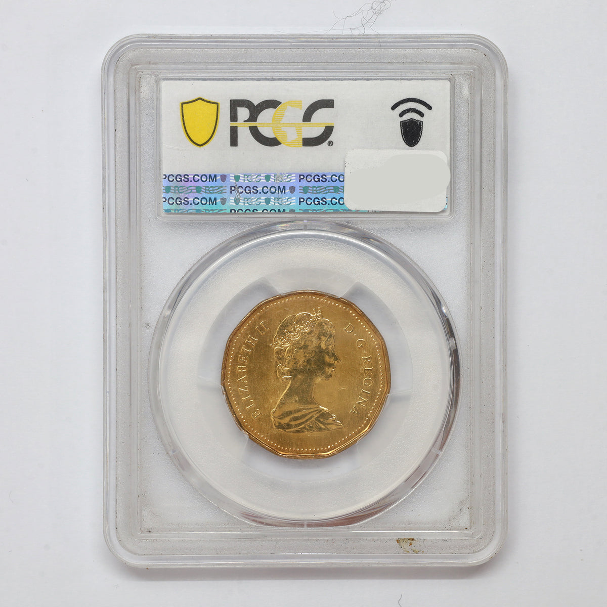 1987 Canada Loon Dollar PCGS Certified MS66 (scuffed)