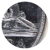 1964 Extra Waterline Canada 5-cents ICCS Certified MS-63 Cameo